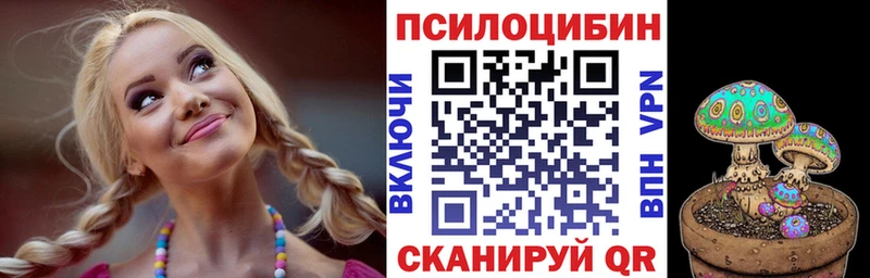 Псилоцибиновые грибы Psilocybine cubensis  kraken ТОР  Пестово 